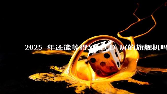 2025 年还能等得到 LCD 屏的旗舰机吗？