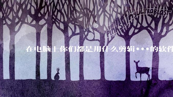 在电脑上你们都是用什么剪辑***的软件啊？